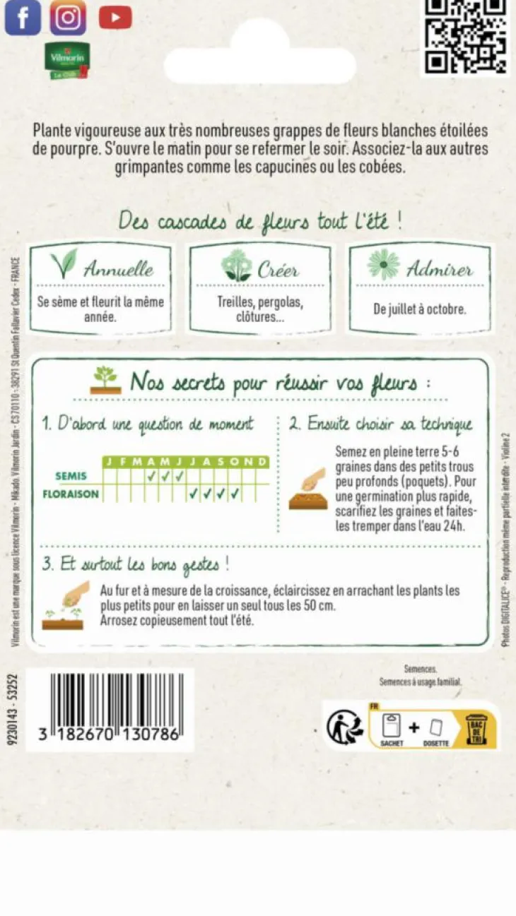 Ipomée Géante Blanche Vilmorin - graines à semer