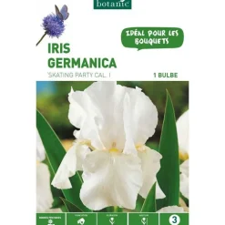 Iris Germanica Skating Party blanc botanic® - 5 bulbes