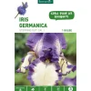 Iris Germanica Stepping Out violet et blanc botanic® - 1 bulbe