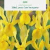 Iris hollande coloris jaune botanic® - 15 bulbes