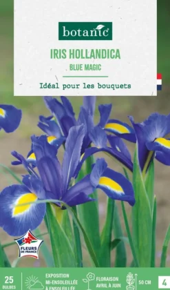Iris hollandica blue magic botanic® - 25 bulbes