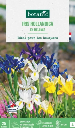 Iris hollandica en mélange botanic® - 25 bulbes