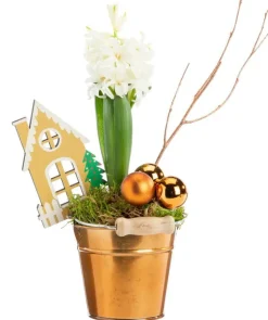 Jacinthe composition hiver pot cuivré - Ø 9,5 cm