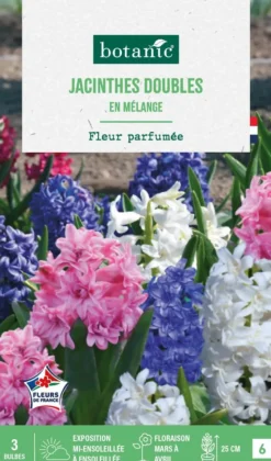 Jacinthe double en mélange botanic® - 3 bulbes