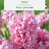 Jacinthe fondant botanic® - 5 bulbes