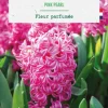 Jacinthe pink pearl botanic® - 5 bulbes
