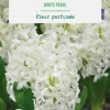 Jacinthe white pearl botanic® - 5 bulbes