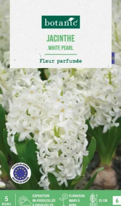 Jacinthe white pearl botanic® - 5 bulbes