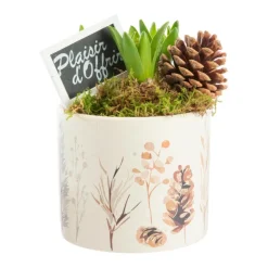Jacinthe x 3 pot céramique décor sous-bois - Ø 12 cm