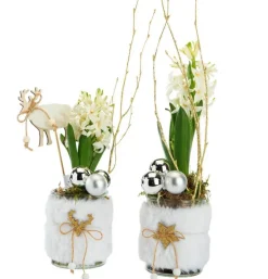 Jacinthe x 1 pot fourrure - Ø 8 cm