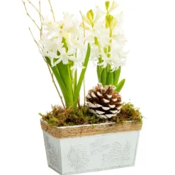 Jardinette de 2 jacinthes en zinc blanc