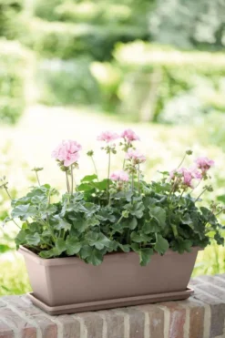 Jardinière 70cm Barcelona Elho taupe