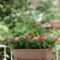 Jardinière 40cm Barcelona Elho taupe