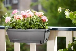 Jardinière en polypropylène anthracite Elho Barcelona - 49,5 x 27,5 x 18,5 cm