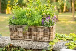 Jardinière panier rectangulaire en osier gris Marcia grand modèle - 58 x 26 x 20 cm