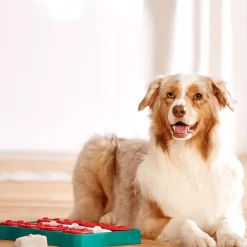 Jeu d'intelligence pour chien coloris multicolore Nina Ottosson Treat Brick niveau 2