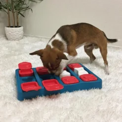 Jeu d'intelligence pour chien coloris multicolore Nina Ottosson Treat Brick niveau 2