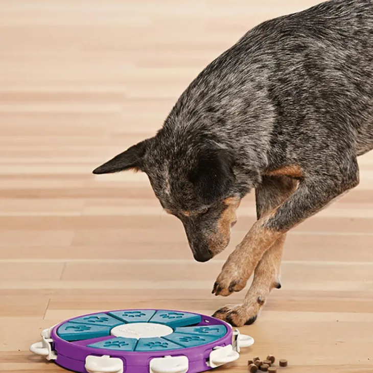 Jeu d'intelligence pour chien coloris multicolore Nina Ottosson Twister niveau 3 - Ø 30,5 cm