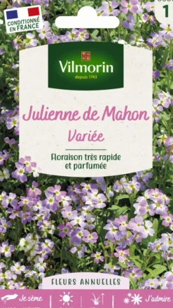 Julienne de Mahon Variée Vilmorin - graines à semer