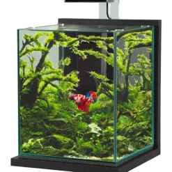 Kit aquarium Jalaya XL coloris gris anthracite Zolux - 25 x 25 x 30 cm