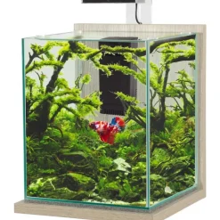 Kit aquarium Jalaya XL coloris zebrano gris Zolux - 25 x 25 x 30 cm