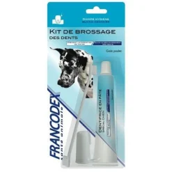Kit de brossage des dents pour chiens