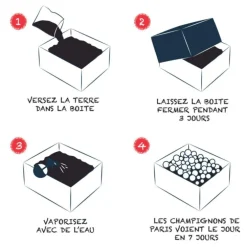 Kit de culture pour champignons blancs de paris bio 25x20x15 cm