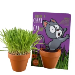 Kit de plantation herbe à chat carte nature chat Radis et Capucine