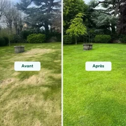 Kit de rénovation pour pelouse engrais et semences Bleen - 5 kg