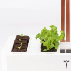 Kit de semis et bouturage pour potager Véritable®