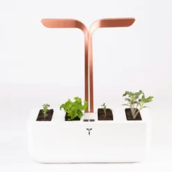 Kit de semis et bouturage pour potager Véritable®