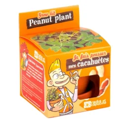 Kit Graines de cacahuètes avec pot et coupelle terre cuite Ø8 cm (A partir de 3 ans)