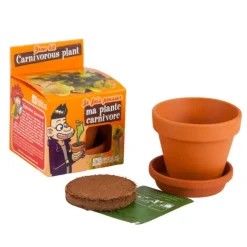 Kit Plantes carnivores avec pot et coupelle terre cuite Ø8 cm (Âge minimum 3 ans)