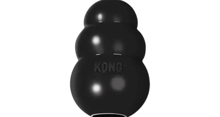 Kong Classic Xtrem Flamingo - Taille Small