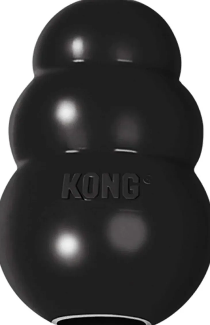Kong Classic Xtrem Flamingo - Taille Small