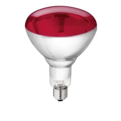 Lampe infrarouge Philips de 150 W en verre rouge renforcé