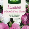 Lavatère à Grande Fleur variée Vilmorin - graines à semer