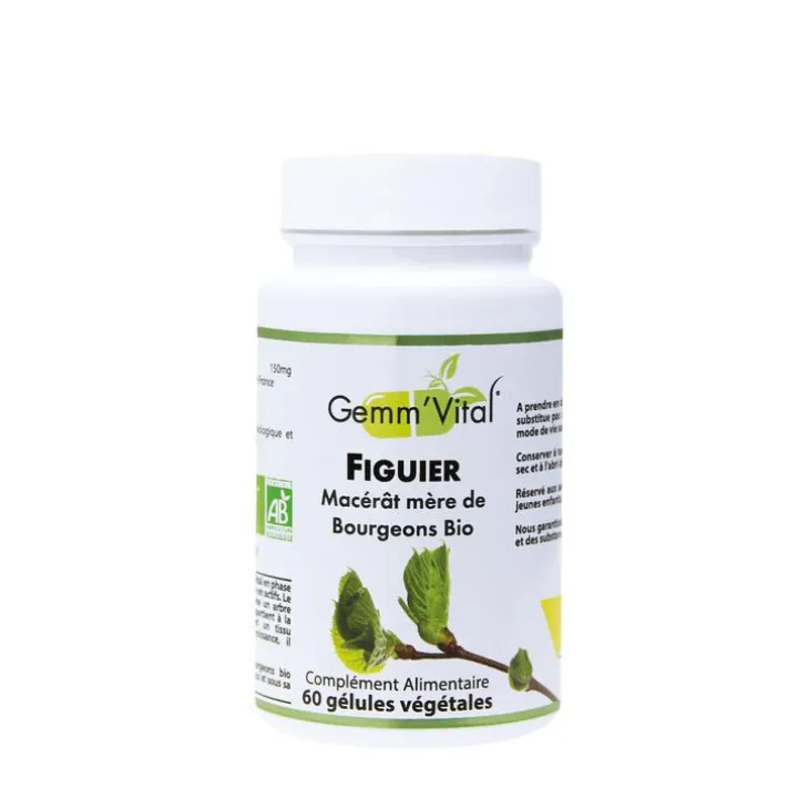L’extrait de bourgeon de figuier bio en boite de 60 gélules