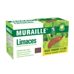 Limaces muraille Décamp - 2,4 kg