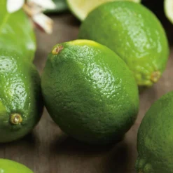 Lime De Tahiti Bio. Le pot de 3 litres