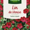 Lin de Venise Vilmorin - graines à semer