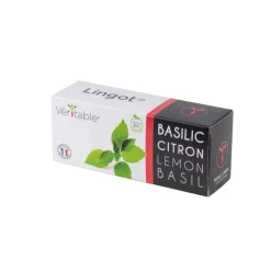 Lingot Basilic Citron Bio