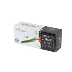 Lingot Ciboulette chinoise bio
