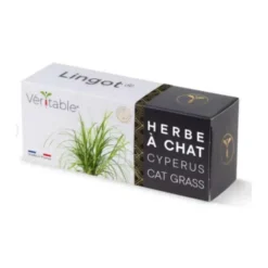 Lingot herbe à chat substrat présemé Véritable® - 3,6 x 12,8 x 5,3 cm