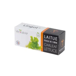 Lingot Laitue feuilles de chêne Bio