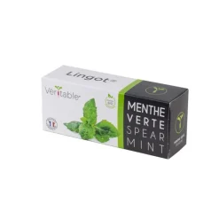 Lingot Menthe Verte Bio