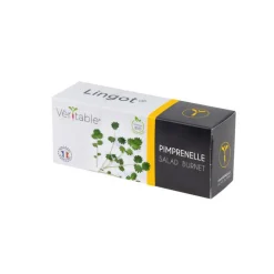 Lingot® Pimprenelle bio Véritable®