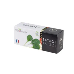 Lingot® Tatsoi bio pour potager Véritable