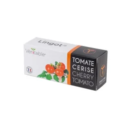 Lingot Tomates cerises