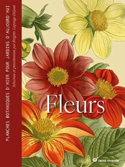 Livre Fleurs de Brigitte Lapouge-Déjean aux Éditions Terre vivante - 288 pages